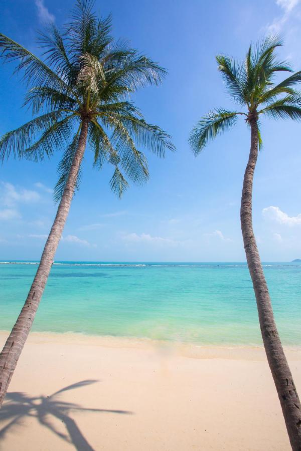 Chaweng Regent Beach Resort Esterno foto Beach in Phuket